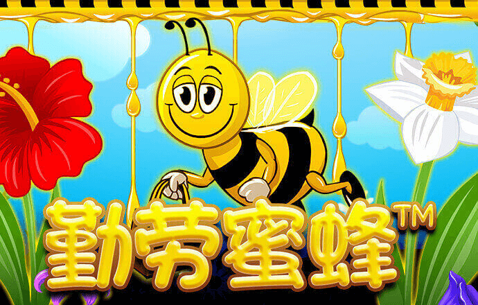 彩博888